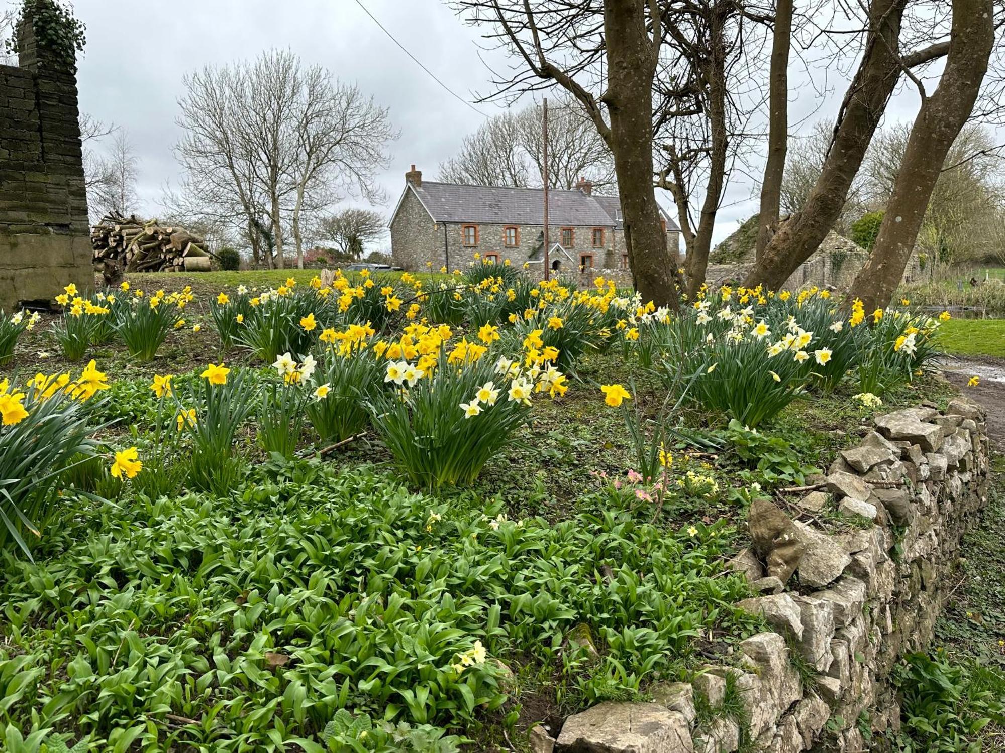 Hael Farm * Swansea